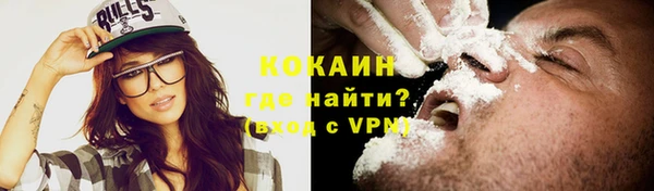 индика Карталы