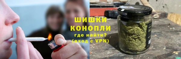 индика Карталы
