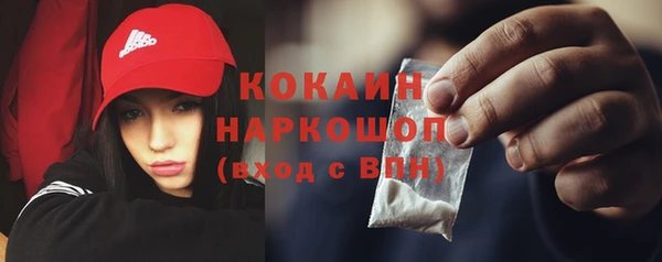 индика Карталы