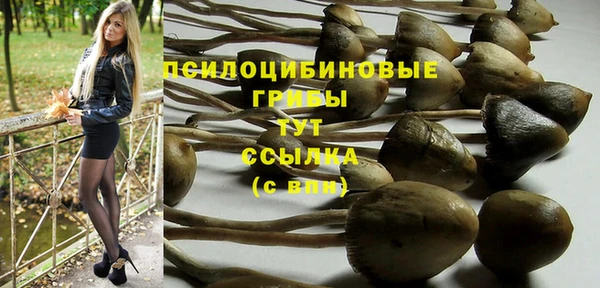 индика Карталы