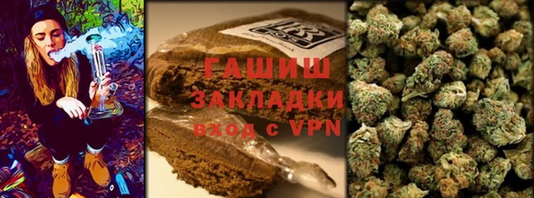 индика Карталы